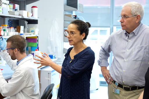Researchers working in a laboratory